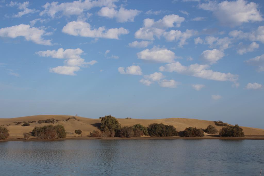 Bungalows Colorado Golf Maspalomas  Oda fotoğraf